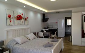 Modern Seaview Studio